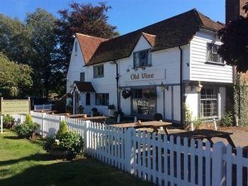 The Old Vine Inn Wadhurst Exterior foto